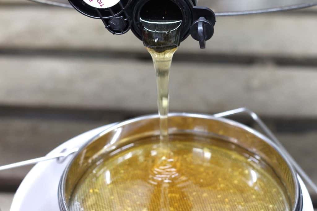Rosehips & Honey Choosing a Honey Extractor