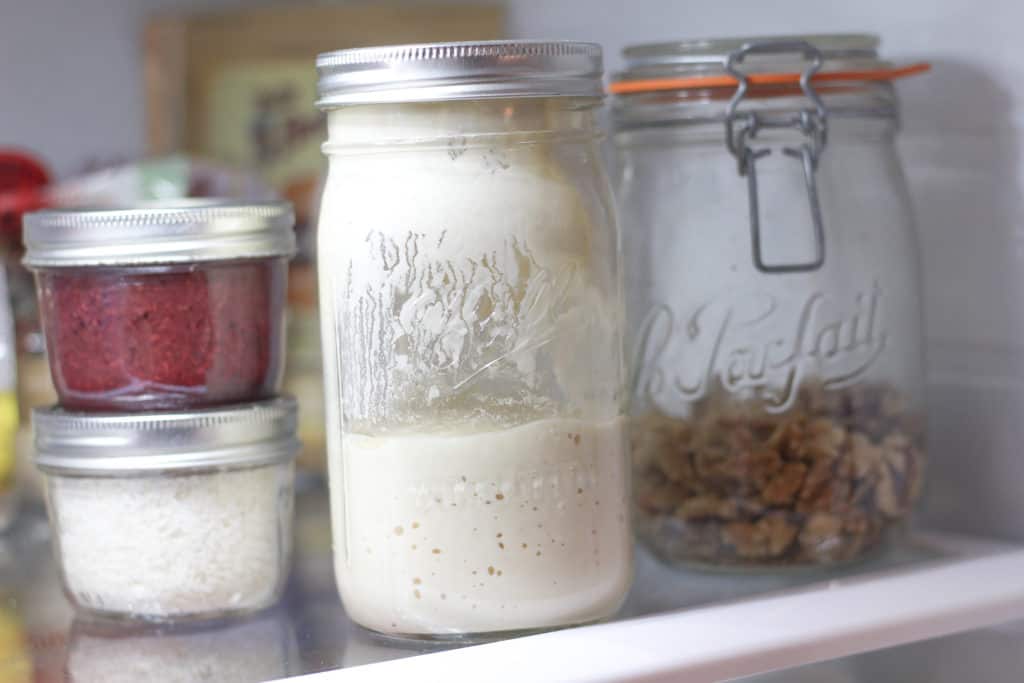 Four jars in a fridge. How to care for a sourdough starter.