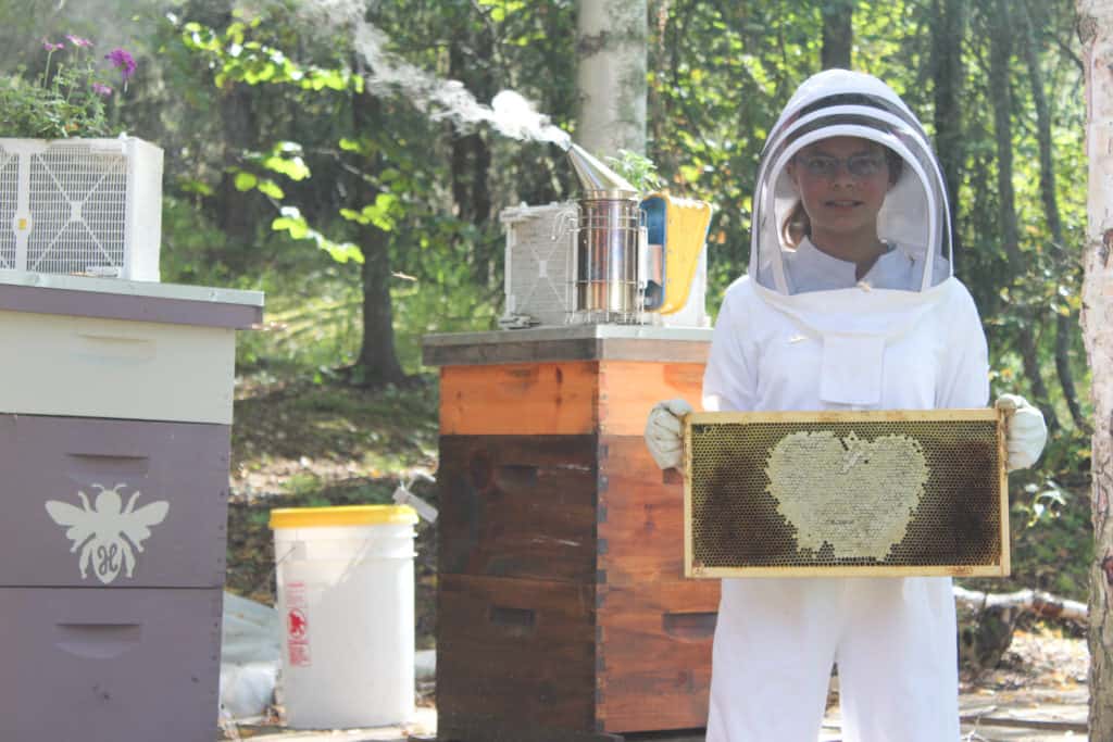 Girl holding bee hive frame in front of two bee hives