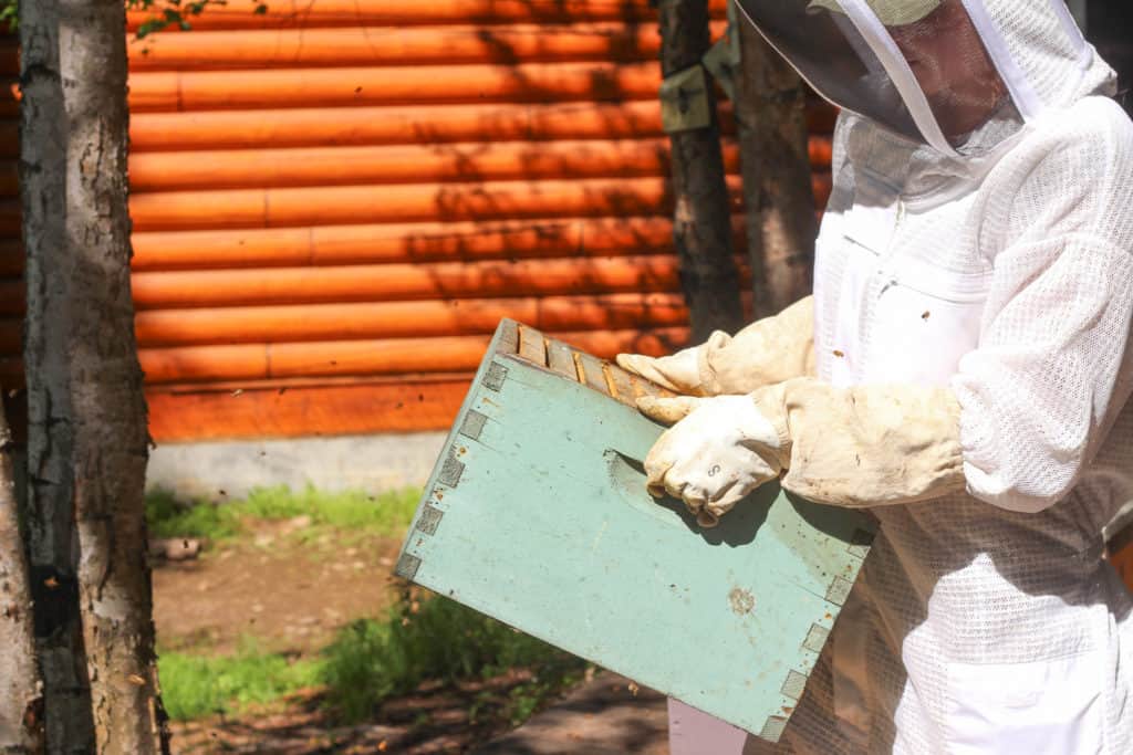 Beekeeper holding a hive box of bees, beekeeping supplies for beginners