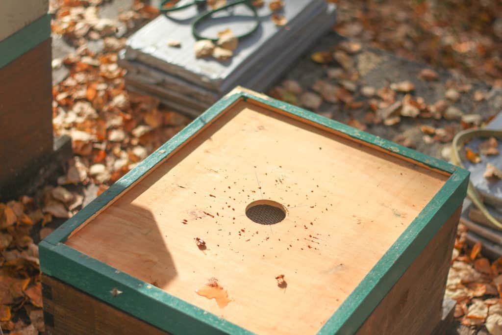 Top view of a bee escape for a beehive in the fall.