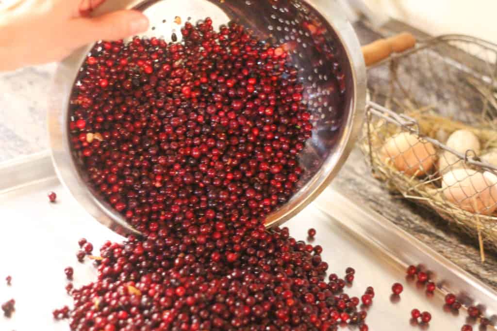 A colander full of cranberries being poured onto a sheet pan