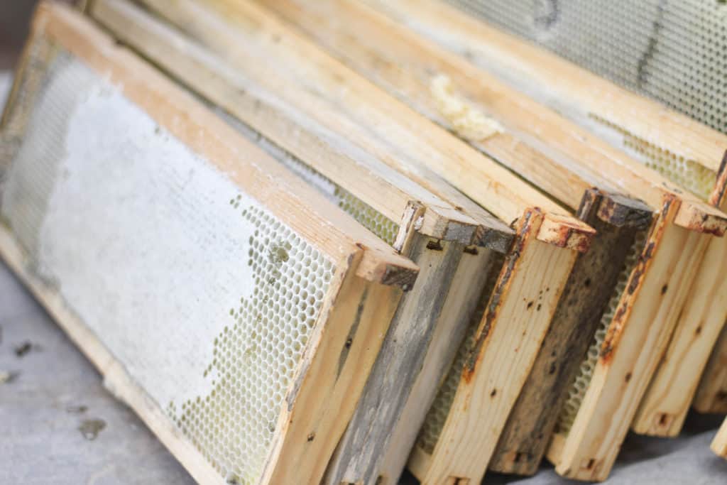 Several frames of capped honey from a beehive leaning in a line.