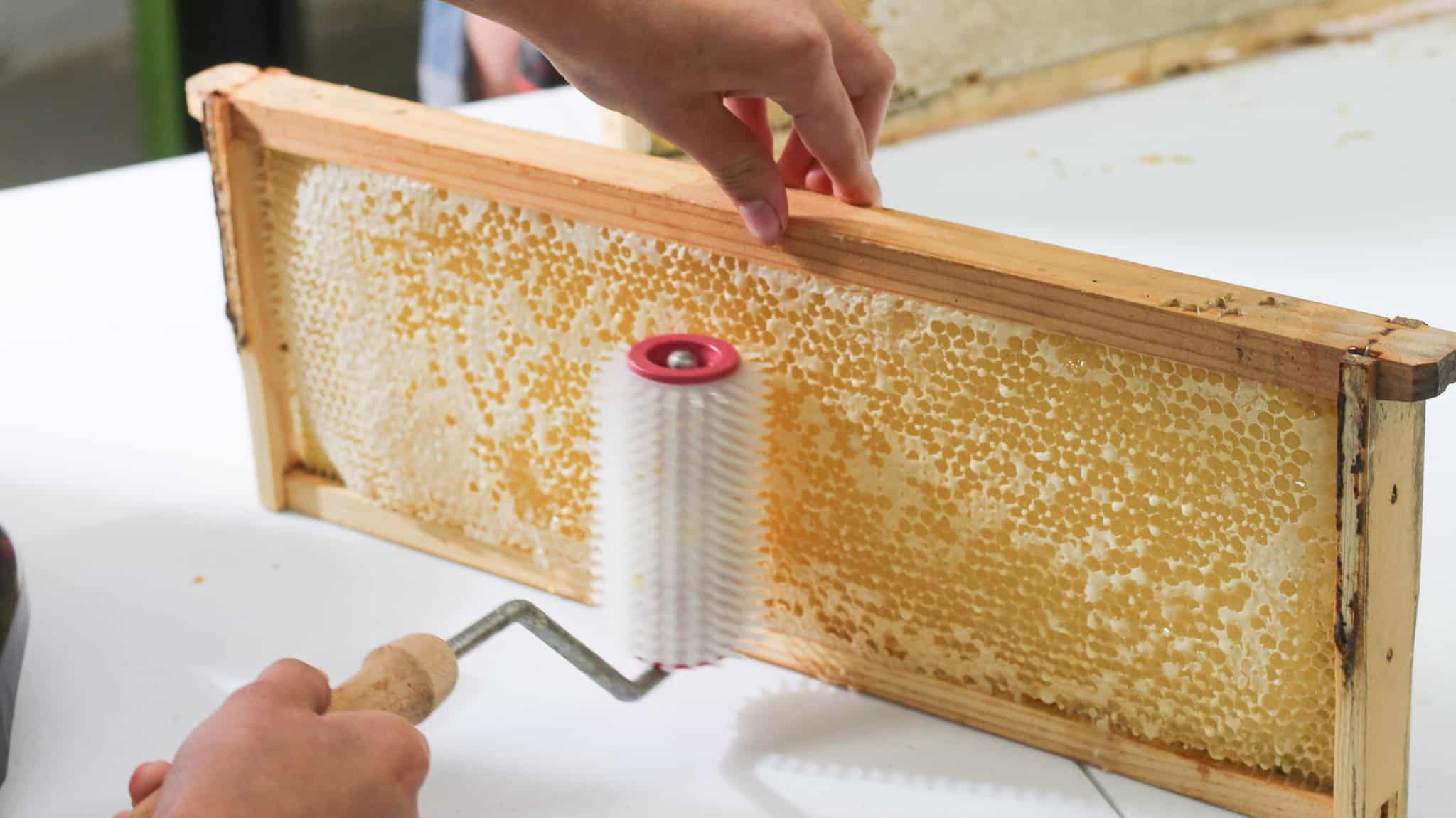 How to Separate Beeswax from Honey Rosehips & Honey