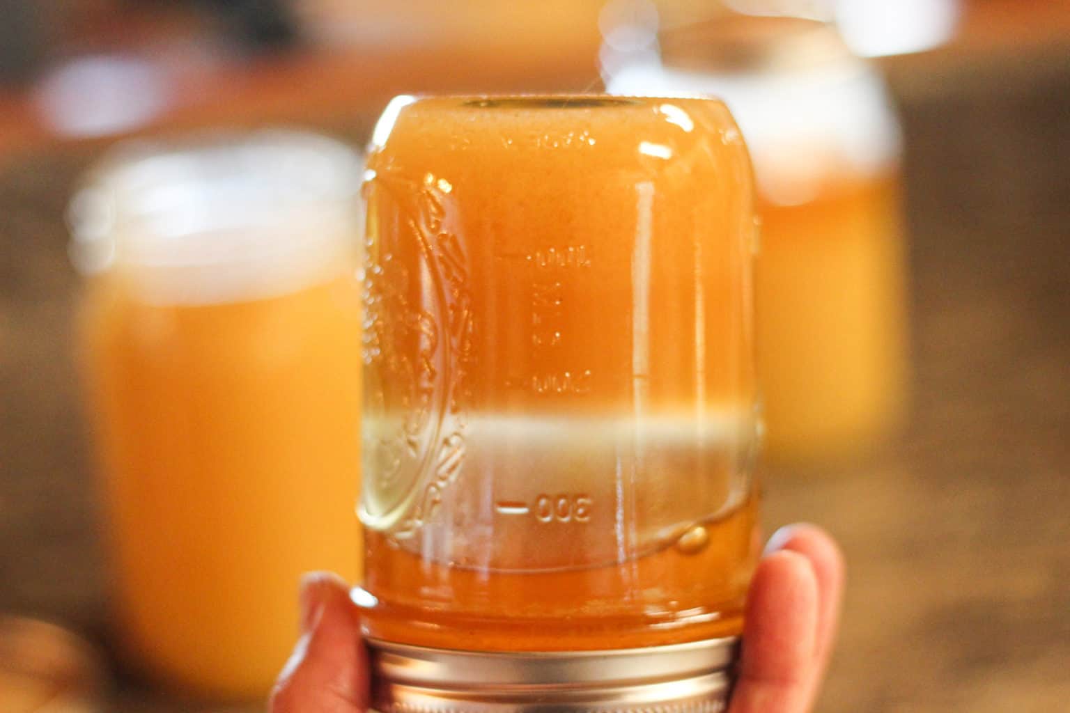 Crystallized Honey Rosehips & Honey