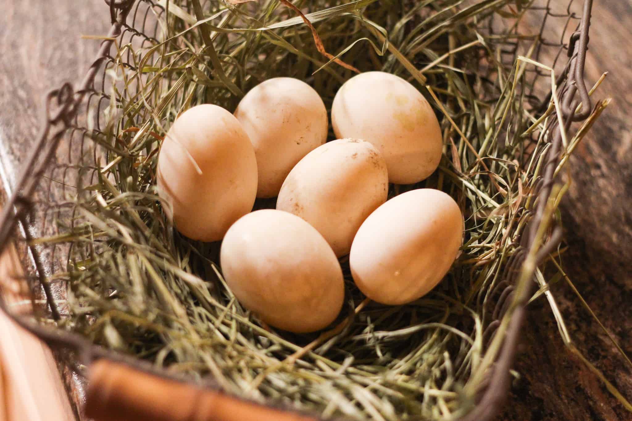 How to Use Duck Eggs