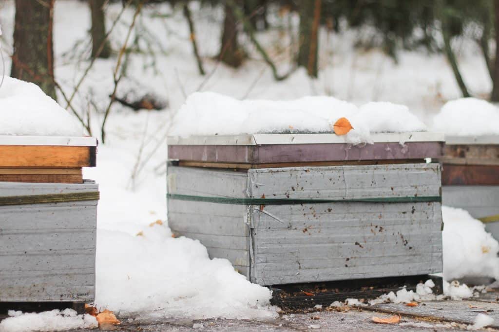 beehive with insulation in the snow