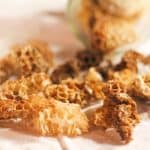 Pieces of collected honeycomb