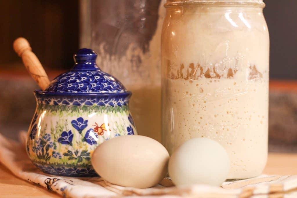 honey pot, two eggs, and a jar of bubbly sourdough starter