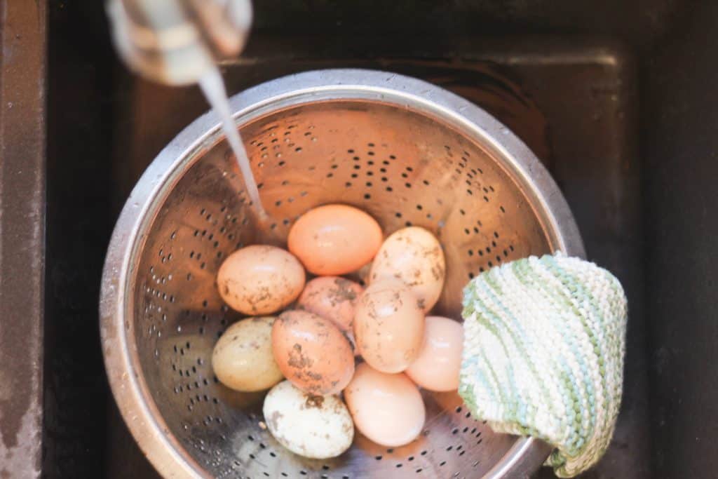 Dirty eggs in a colander in a sink to be washed