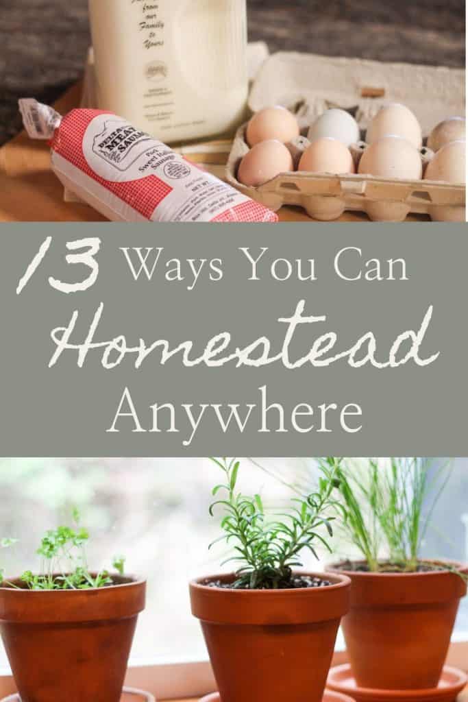 Ways to Homestead Anywhere Pinterest image
