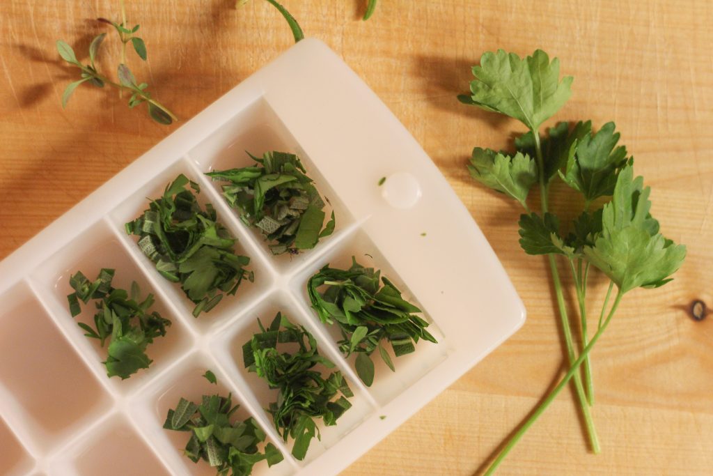 Filling an ice cube tray with chopped herbs