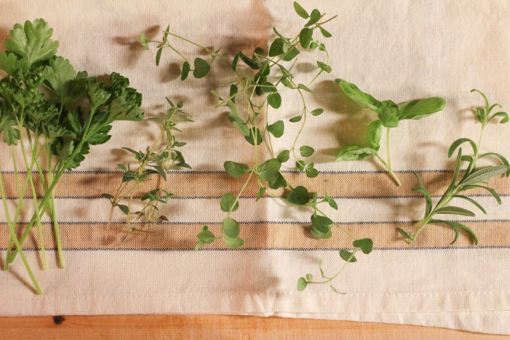 Freshly cut herbs sitting on a tea towel