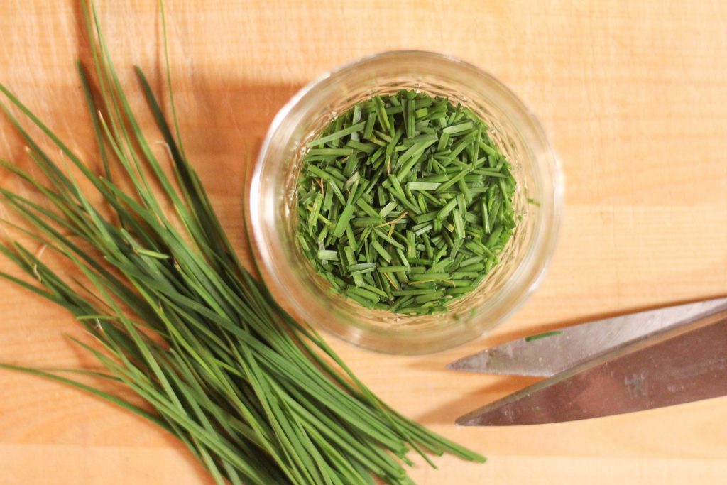 Scissors cutting chives into a jar to freeze