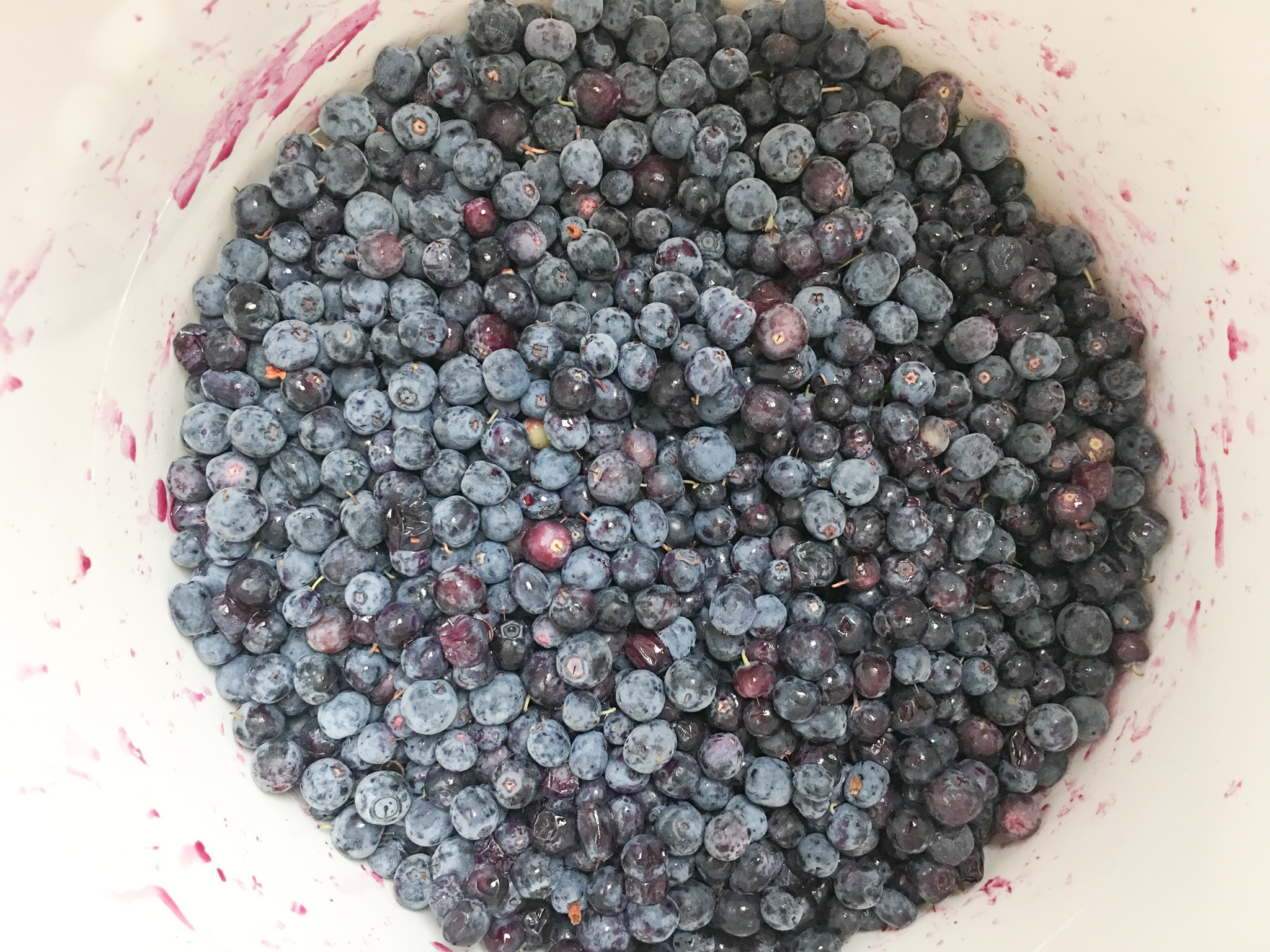 Tips for Picking Wild Berries