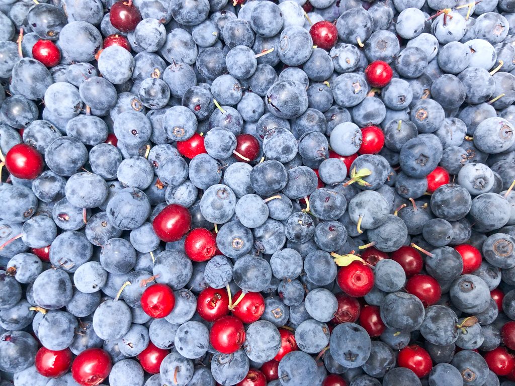 Wild blueberries and cranberries