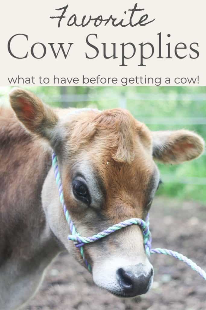 cow supplies Pinterest image