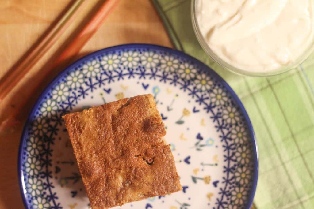 A piece of unfrosted sourdough rhubarb cake