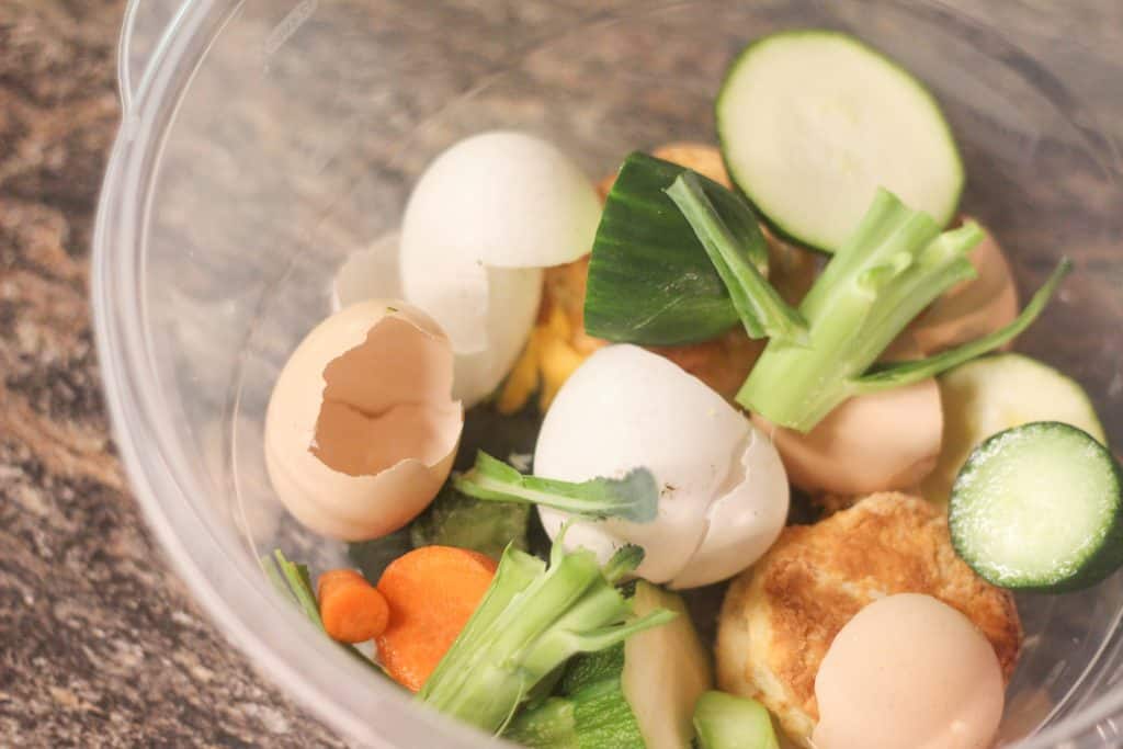 A bowl of healthy scraps for chickens