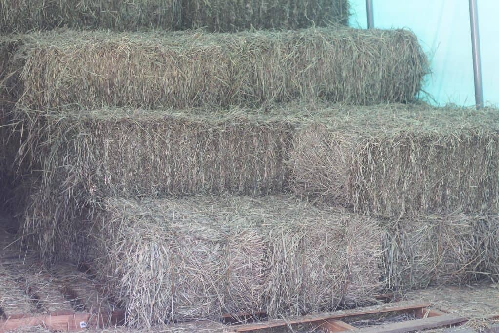 A pile of bales of hay