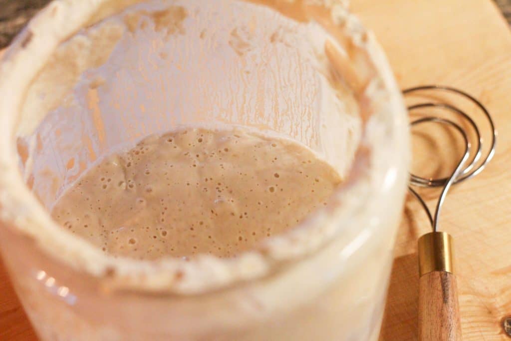 A container of bubbly sourdough starter