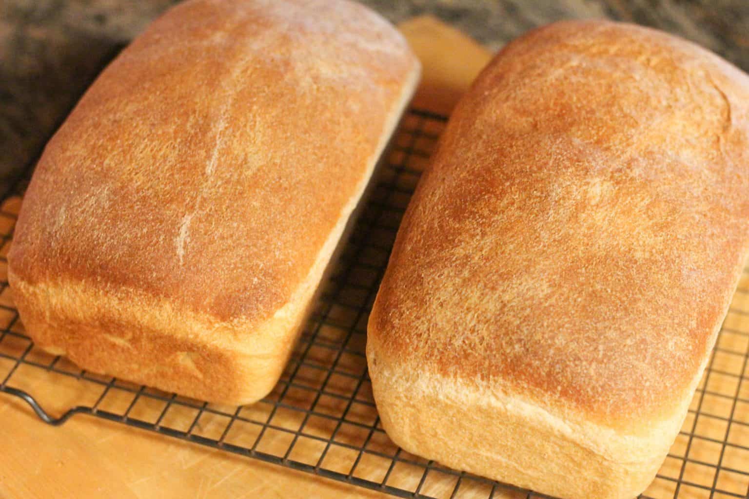 Whole Wheat Sourdough Sandwich Bread Recipe Rosehips & Honey