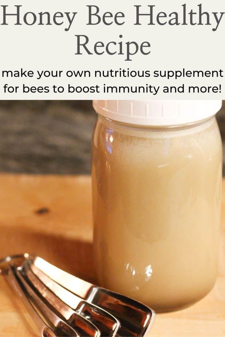 Honey Bee Healthy Recipe Rosehips & Honey