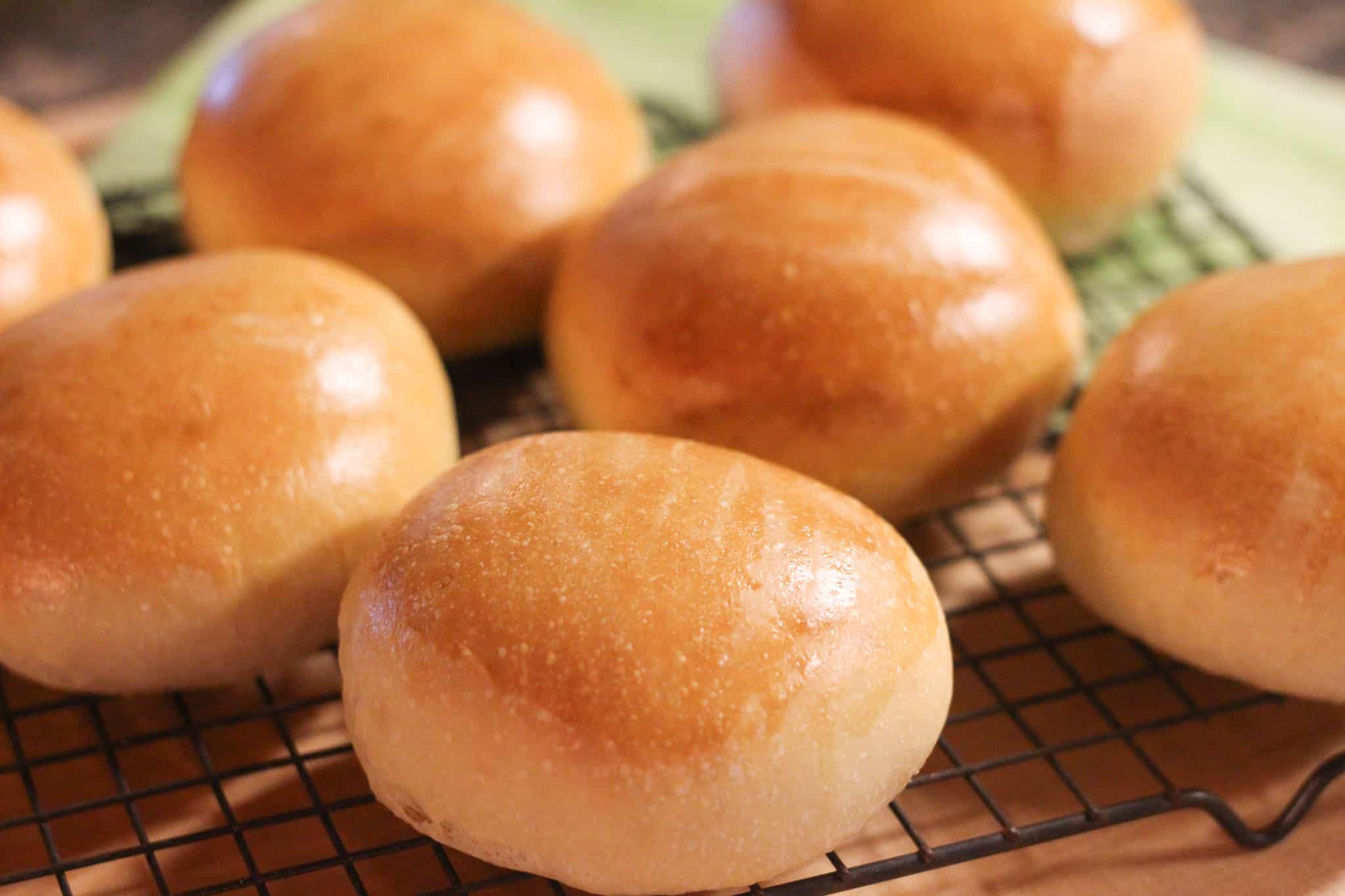 Sourdough Hamburger Buns Recipe Rosehips & Honey