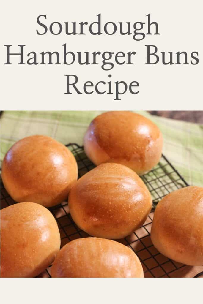 Sourdough Hamburger Buns Pinterest image